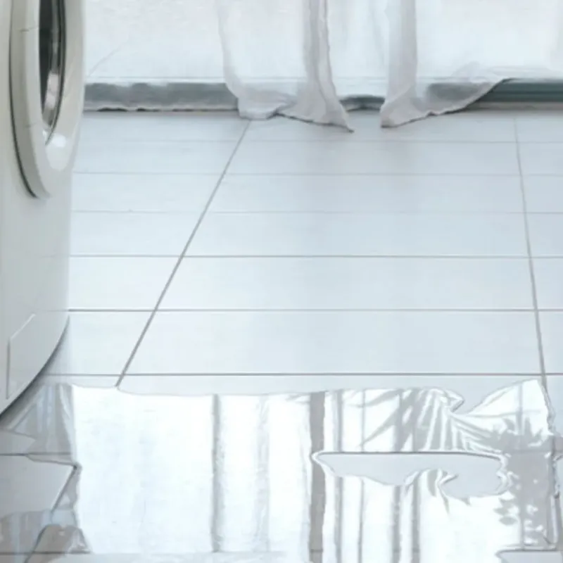Appliance Leak Cleanup in Lapeer, MI