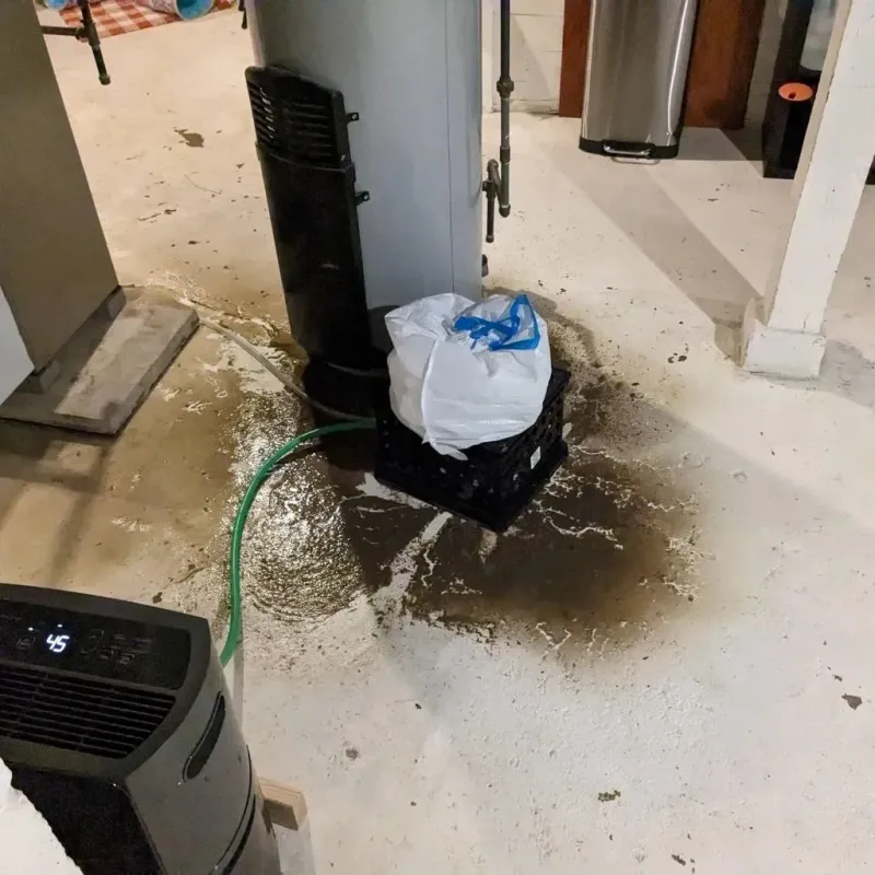 Sewage Backup Cleanup Service in Lapeer, MI